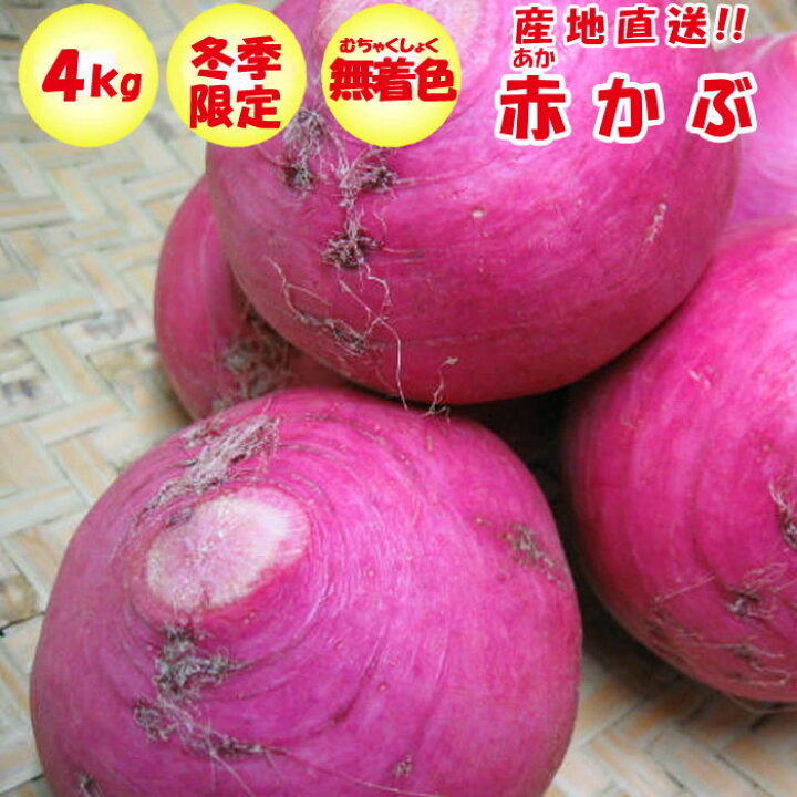 楽天市場 販売終了 再開は11月の予定 赤かぶ 4kg入り 1袋 約2 8玉 5袋 漬物用 無着色 冬季限定 季節野菜 11月 2月 送料別 道の駅おかべ げんき野菜王国