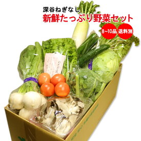 新鮮たっぷり野菜セット 8～10品目（深谷ねぎなし）【送料別 同梱におススメ 常温発送／クール便（気温によって配送方法変更）】