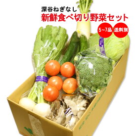 新鮮食べ切り野菜セット 5～7品目（深谷ねぎなし）【送料別 同梱におススメ 常温発送／クール便（気温によって配送方法変更）】