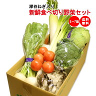 新鮮食べ切り野菜セット 5～7品目（深谷ねぎ入り）【送料無料 クール便】