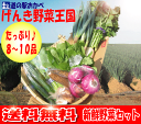 1月27日は深谷ねぎまつり開催!特別価格!深谷ねぎ入りたっぷり新鮮野菜セット【送料無料】【smtb-TD】【saitama】