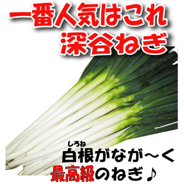 楽天市場】産地直送 深谷ねぎ むきねぎ Mサイズ 55本【常温発送 送料 