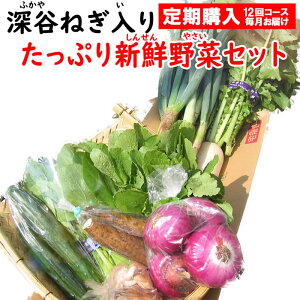 新鮮野菜セット 8〜10品目 (深谷ねぎ入り)定期購入【毎月 年12回コース 送料無料 常温発送/クール便(気温によって配送方法変更)】