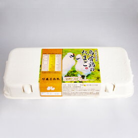 伊藤養鶏場 烏骨鶏のたまご 10個入り（東京都立川市）【送料別 常温発送／クール便（気温によって配送方法変更）】