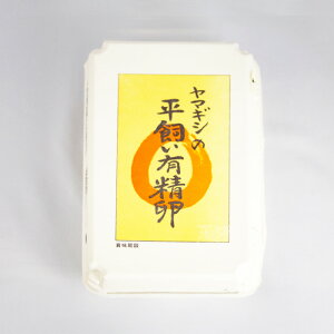 }MV̕L 15y}MVY Yn_g@liQnȌSjʁz