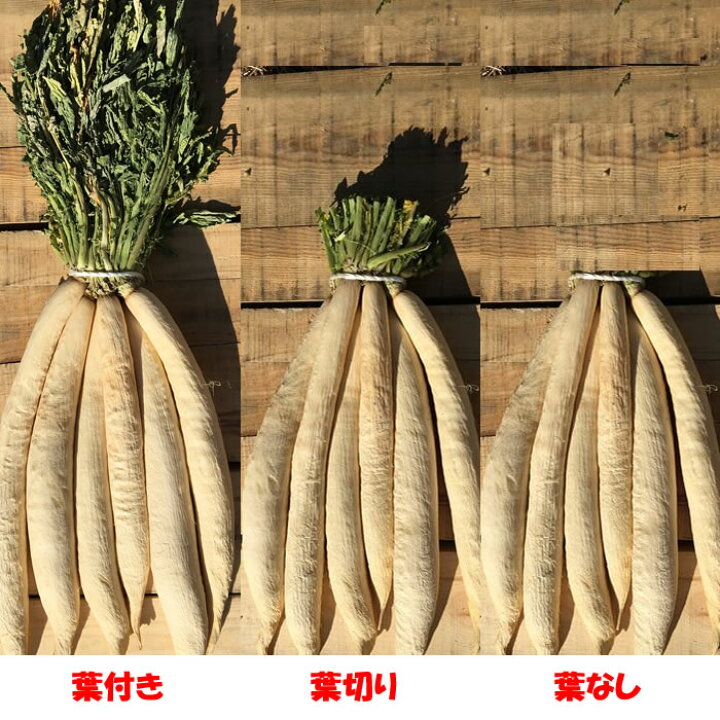 楽天市場】赤城おろし 葉付き干し大根 8Kg 秘伝の合わせぬか付 