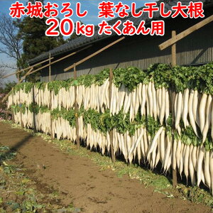 ԏ邨낵 tȂ卪 20Kg p卪Eʂy sz