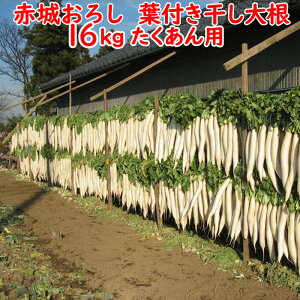 ԏ邨낵 tt卪 16Kg p卪Eʂys ʁz