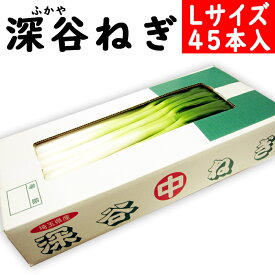 産地直送 深谷ねぎ むきねぎ Lサイズ 45本【常温発送／クール便（気温によって配送方法変更）送料別】