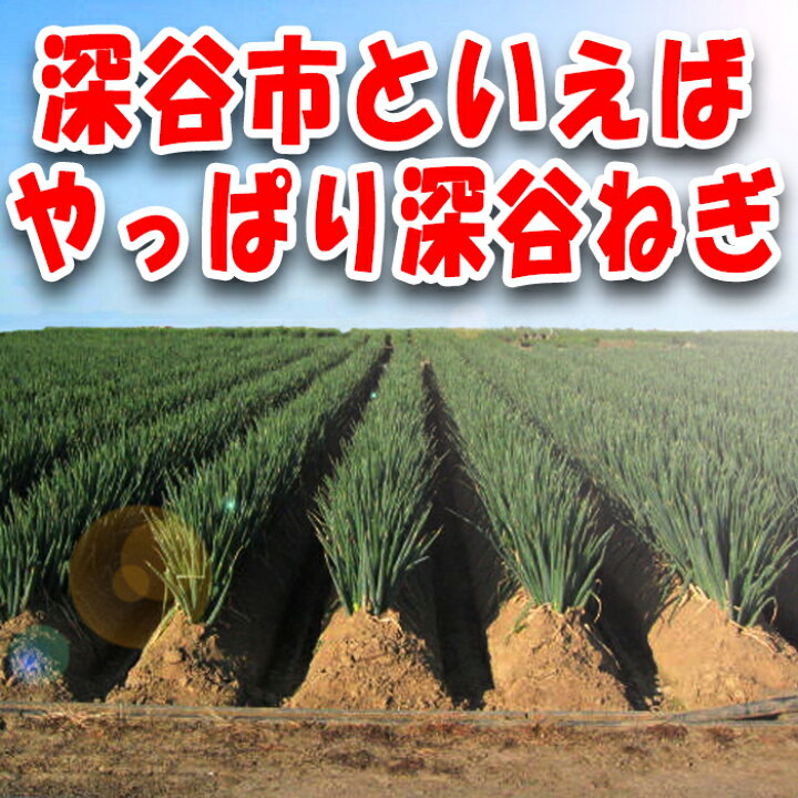 楽天市場】土付き深谷ねぎ4Kgセット 購入特典付き【産地直送 無選別 送料無料 常温発送/クール便(気温によって配送方法変更)】 : 道の駅おかべ げんき野菜王国 楽天市場】土付き深谷ねぎ4Kgセット 購入特典付き【産地直送 無選別 送料無料 常温発送/クール便(気温によって配送方法変更)】 : 道の駅おかべ げんき野菜王国