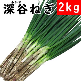 産地直送 深谷ねぎ2Kgセット【無選別】【送料無料】【常温発送／クール便（気温によって配送方法変更）】