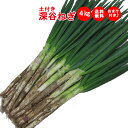 土付き深谷ねぎ4Kgセット 購入特典付き【産地直送 無選別 送料無料 常温発送／クール便（気温によって配送方法変更）】