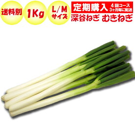 【定期購入・定期便】深谷ねぎむきねぎ1kg L/Mサイズ（約6〜10本）【3ケ月毎 年4回コース 送料別 常温発送／クール便（気温により変更】