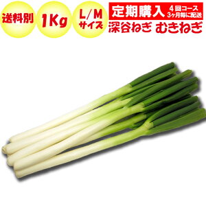 深谷ねぎの通販 価格比較 価格 Com