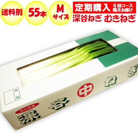 【定期購入・定期便】深谷ねぎ むきねぎ Mサイズ 55本【隔月 年6回コース 送料別 常温発送／クール便（気温によって配送方法変更）】