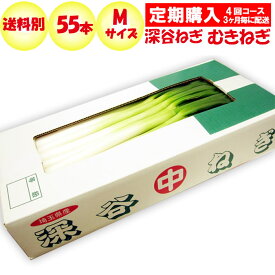 【定期購入・定期便】深谷ねぎ むきねぎ Mサイズ 55本【3ケ月毎 年4回コース 送料別 常温発送／クール便（気温により配送方法変更）】