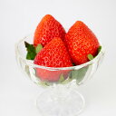 【先行予約開始 出荷：1月中旬以降】高級いちご 彩のあまりん 2パック（約250g x 2）【送料別 冬季限定/季節野菜 1月…