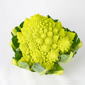 カリフラワー（ロマネスコ） 1玉（約800g）【冬季限定/季節野菜 11月〜2月 （埼玉県深谷市産）常温発送 送料別】