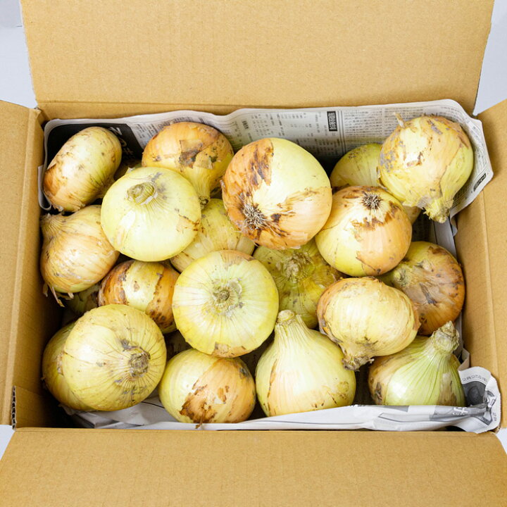 楽天市場】新たまねぎ 10kg （2L/Lサイズ）深谷/本庄産【約30個〜50個 