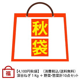 秋の福袋 深谷ねぎ1Kg＋野菜・惣菜 計10点【受注期間：10月1日～11月15日お届けは10月16日以降、送料無料】