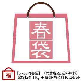 春の福袋 深谷ねぎ1Kg＋野菜・惣菜 計10点【受注期間：4月1日（月）～5月15日（水）お届けは4月16日以降、送料無料】