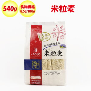 ė 540gi45gx12܁jy͂΂iR싐SjʁzyNSz