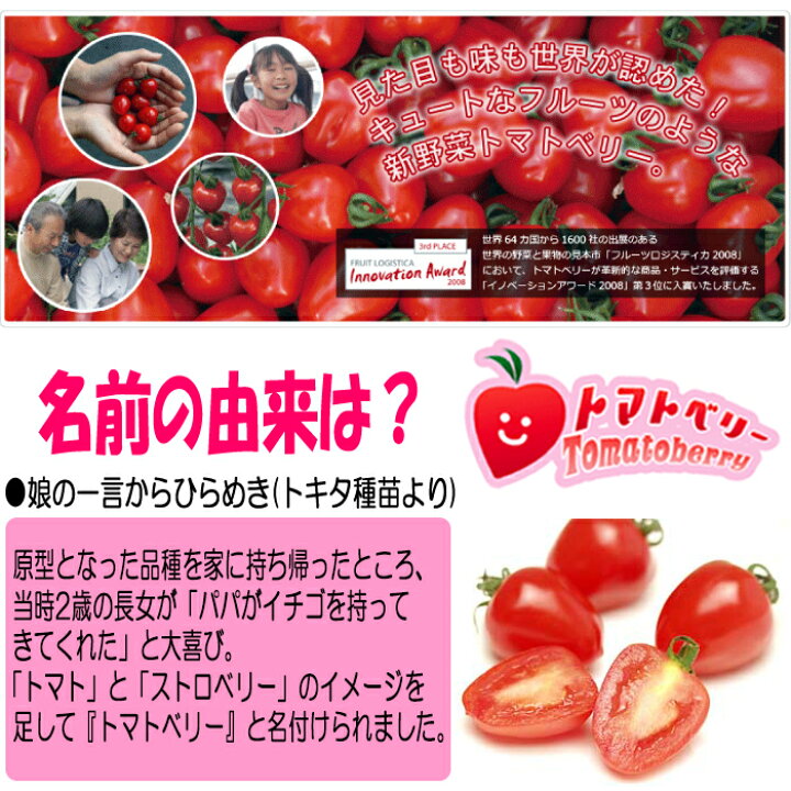楽天市場 トマトベリー 180g 無選別 サイズ表記なし 季節野菜 2月 6月 埼玉県深谷市産 送料別 常温発送 クール便 気温によって配送方法変更 道の駅おかべ げんき野菜王国 楽天市場 トマトベリー 180g 無選別 サイズ表記なし 季節野菜 2月 6月 埼玉県深谷市産 送料別 常温発送 クール便 気温によって配送方法変更 道の駅おかべ げんき野菜王国