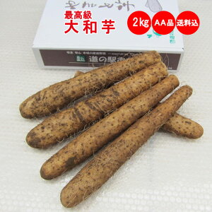 { a 2Kg AAi@yō ϔ p@݁z