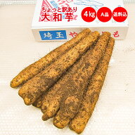 本場 大和芋4Kg A品　【送料込み】