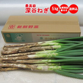 【冬ギフト】深谷ねぎ 5Kg 贈答用【発送期間：11月下旬から発送予定 送料込み】