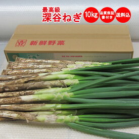 【冬ギフト】深谷ねぎ 10Kg 贈答用【期間限定：11月下旬から発送予定 送料込み】