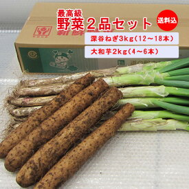 【冬ギフト 野菜セット】野菜2品 5kgセット 【深谷ねぎ3Kg/大和芋2Kg　贈答用・発送期間：12月から発送予定 送料込み】