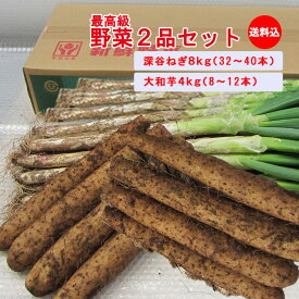【冬ギフト 野菜セット】野菜2品12kgセット 【深谷ねぎ8Kg/大和芋4Kg　贈答用・発送期間：12月から発送予定 送料込み】