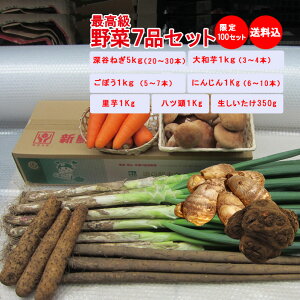 y~Mtg ؃Zbgz7iZbg y[J˂/a/ڂ/lQ/ő@/c ̔ԁF12甭\ ݁z