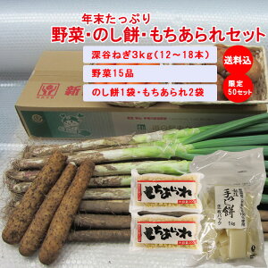 y~Mtg ؃ZbgzNՂ؁Ê݁EZbgy̔ԁF122531̂͂ ݁z