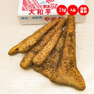 大和芋2Kg A品：ちょっと訳あり【ねっとりやまといも 送料無料】