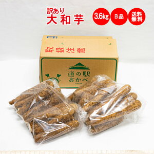 a3.6kgi1.8Kg x 2܁j BiF󂠂y/͔zs ˂Ƃ܂Ƃ z