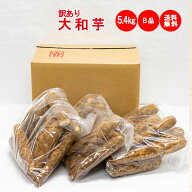 大和芋5.4kg（1.8Kg x 3袋） B品：訳あり【沖縄/離島は配送不可 ねっとりやまといも 送料無料】