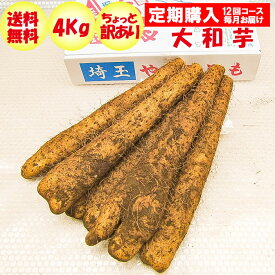 【定期購入・定期便】大和芋4Kg A品：ちょっと訳あり 定期購入【毎月 年12回コース 常温発送 送料無料】