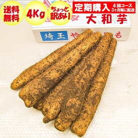 【定期購入・定期便】大和芋4Kg A品：ちょっと訳あり 定期購入【3ケ月毎 年4回コース 常温発送 送料無料】