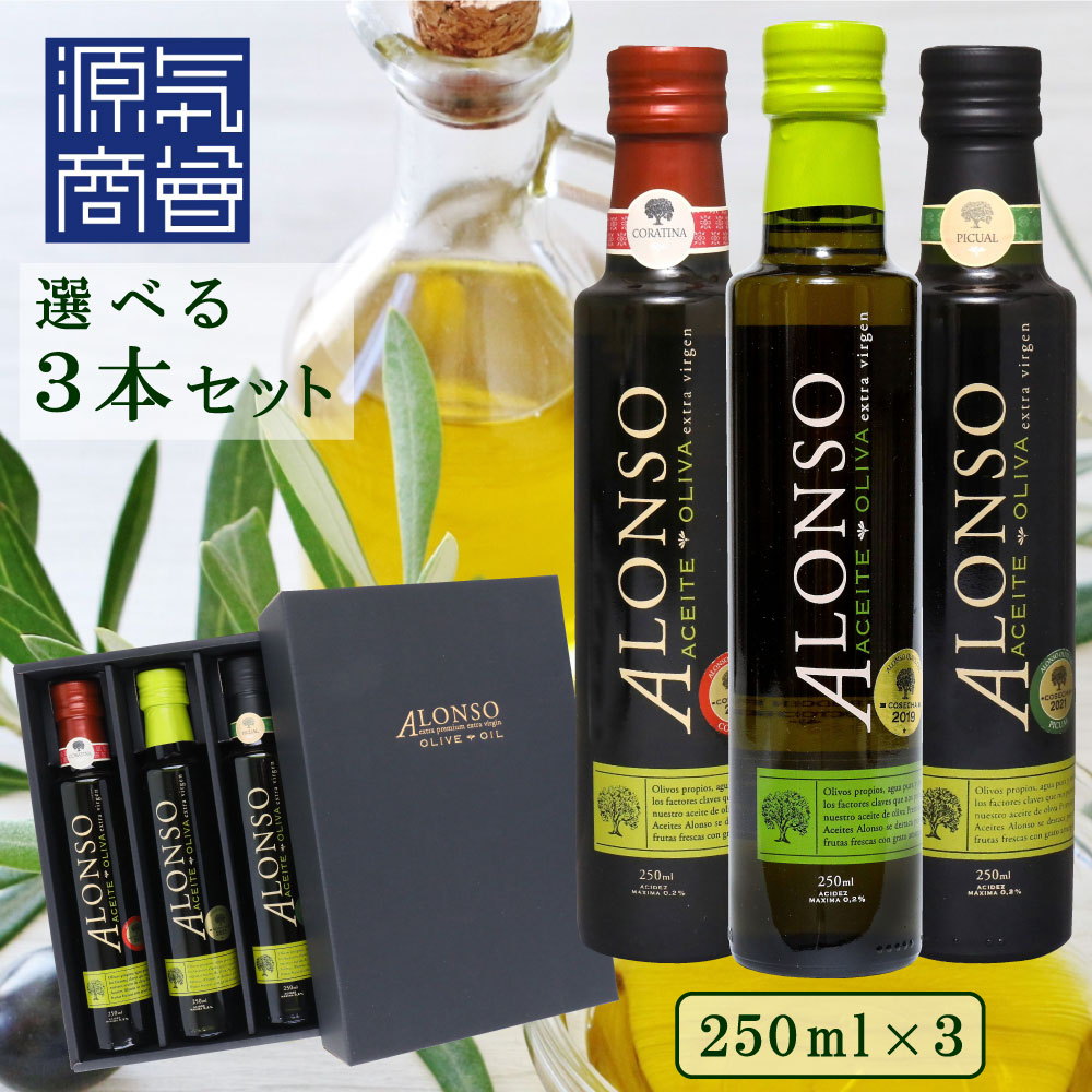  ALONSO アロンソ エキストラヴァージン オリーブオイル Coratina Blend Picual 3本 チリ産 BOXセット 高級オリーブオイル 酸度0.2％以下 早摘み [2]