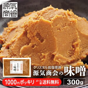 2025N9x ԗDǃVbv܁y 1000~|bL  z Ă݂ YX C IWi NX^X 300g 20X Y S ݂ Y݂ [֑