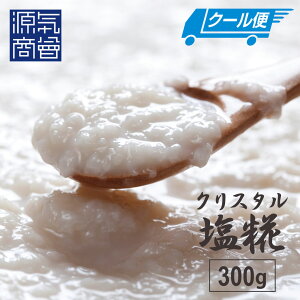 2025N9x ԗDǃVbv܁yN[֑z Y  w C̉ 300gx NX^≖ gp     yHi pE` C Y 