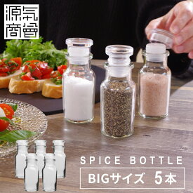 《選べるおまけ付》【大きめ】【5本セット】スパイスボトル 大 ビッグ BIG 調味料入れ 13cm ガラス瓶 ガラス製 ワグナービン [2]