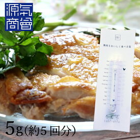 tabishio stick 鶏肉をおいしく食べる塩 5g ソルトコーディネーター 青山志穂プロデュース 海水塩 湖塩 オリジナル ブレンドソルト