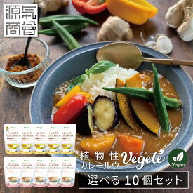 ≪2025年12月度月間優良ショップ受賞≫【10個セット】 カレールー 無添加 ベジテ Vegete 140g×10個 パウチ 甘口 中辛 辛口 選べる フレーク 保存料不使用 無添加カレールー 野菜 動物性原料不使用 グルテンフリー アレルゲンフリー グルテンフリーカレー [2]
