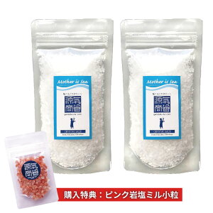 2025N12xԗDǃVbv܁ yIׂI}Ptz ≖ ~ Hp q}≖ w C NX^≖ ~p 500g(250g×2) xNX^\g V VR 