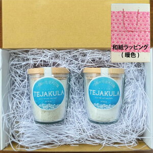  Mtg j  w eWN\g o  SV 炶 & pE_[ }OJbv xeWN  bsO lΉ v[g  [2] [gift]