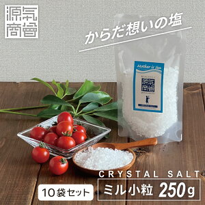 2025N9x ԗDǃVbv܁  ≖ ~ Hp q}≖ w C NX^≖ ~p 250g 1 2 5 10 x Zbg NX^\g V VR `[W [3]