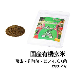 《レビューで500円クーポン》【メール便送料無料】初回限定・シガリオ上撰ブラックジンガー 酵素プラスα お試し20g/ 腸内フローラ / 乳酸菌 / ビフィズス菌 / 酵素【ノンカフェイン アイス